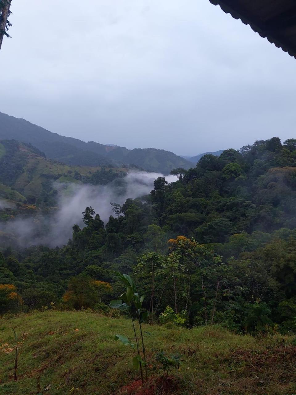 Santa Juana Lodge&nature Reserve * Quepos